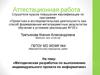 Аттестационная работа. Методическая разработка по выполнению индивидуального проекта по информатике