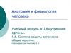 Анатомия и физиология человека