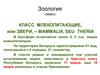 Зоология (звери). Класс млекопитающие,