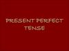 Present perfect tense