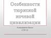 Особенности тюркской кочевой цивилизации