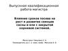 Влияние сроков посева на рост и развитие сеянцев сосны и ели с закрытой корневой системой