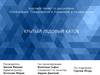 Организация, планирование и управление в строительстве. Крытый ледовый каток