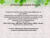 Аттестационная работа. Организация проектной деятельности на уроках в общеобразовательной школе