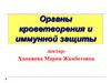 Органы кроветворения и иммунной защиты