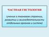 Частная гистология (учение о тканевом строении, развитии и жизнедеятельности отдельных органов и систем)