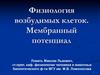Физиология возбудимых клеток. Мембранный потенциал