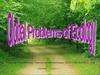 Global Problems of Ecology