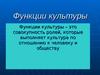 Тема 2. Функции культуры