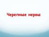 Черепные нервы