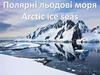 Полярні льодові моря