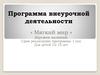 Программа внеурочной деятельности « Мягкий мир » (кружок валяния)