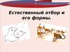 Естественный отбор и его формы