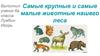 Самые крупные и самые малые животные нашего леса