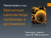 Магнитные наночастицы: проблемы и достижения