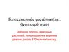 Голосеменные растения (лат. Gymnospérmae)