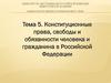 Конституционные права, свободы и обязанности человека и гражданина в Российской Федерации