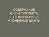 Содержание бизнес-проекта, его окружение и жизненные циклы