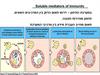 Soluble mediators of Immunity