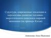 Структура, современные тенденции и перспективы развития топливно-энергетического комплекса мировой экономики (на примере Китая)