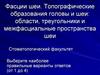 Фасции шеи. Топографические образования головы и шеи: области, треугольники и межфасциальные пространства шеи