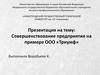 Совершенствование предприятия на примере ООО «Триумф»