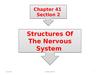 Structures of the nervous system. (Chapter 41. Section 2)