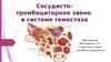 Сосудисто-тромбоцитарное звено в  системе гемостаза
