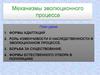 Механизмы эволюционного процесса