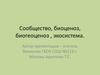 Сообщество, биоценоз, биогеоценоз, экосистема