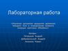 Динамика вращения движения твёрдого тела и определение момента инерции маятника Обербека