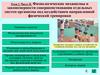 Физиологические механизмы и закономерности совершенствования отдельных систем организма под воздействием физической тренировки