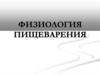 Физиология пищеварения