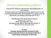 Аттестационная работа. Решение проблем путём осуществления проекта по благоустройству и озеленению школьной территории
