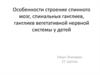 Особенности строение спинного мозга, спинальных ганглиев, ганглиев вегетативной нервной системы у детей
