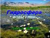 Гидросфера. Болота