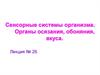Сенсорные системы организма. Органы осязания, обоняния, вкуса