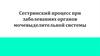 Сестринский процесс при заболеваниях органов мочевыделительной системы