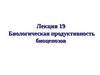 Лекция 19. Биологическая продуктивность биоценозов