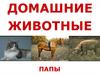 Домашние животные-папы
