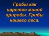 Грибы как царство живой природы. Грибы нашего леса