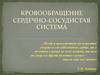 Кровообращение. Сердечно-сосудистая система
