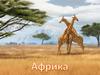Африканский континент