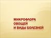 Микрофлора овощей и виды болезней