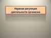 Нервная регуляция деятельности организма. Соматический и автономный отделы мозга
