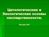 Цитологические и биологические основы наследственности. (Лекция 2)