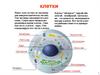 Клетки. Деление клетки