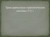 Трансдермальные терапевтические системы (ТТС)