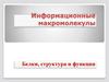 Информационные макромолекулы