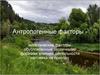 Антропогенные факторы